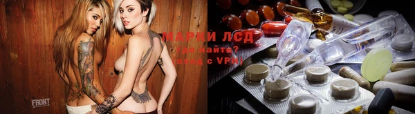 амф Новодвинск