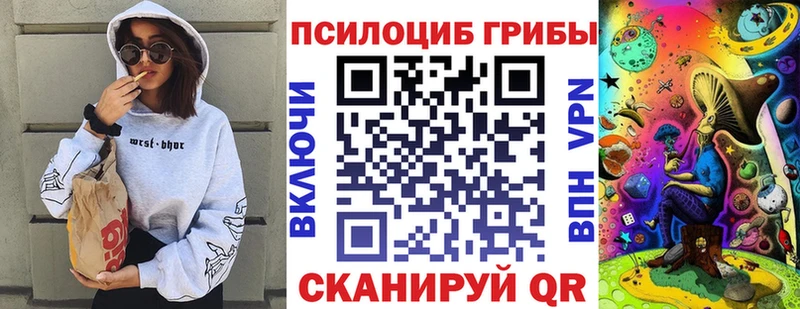 Галлюциногенные грибы мицелий  Кириллов 